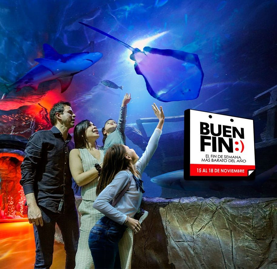 Acuario Inbursa te espera este Buen Fin: 4x3 en entradas generales