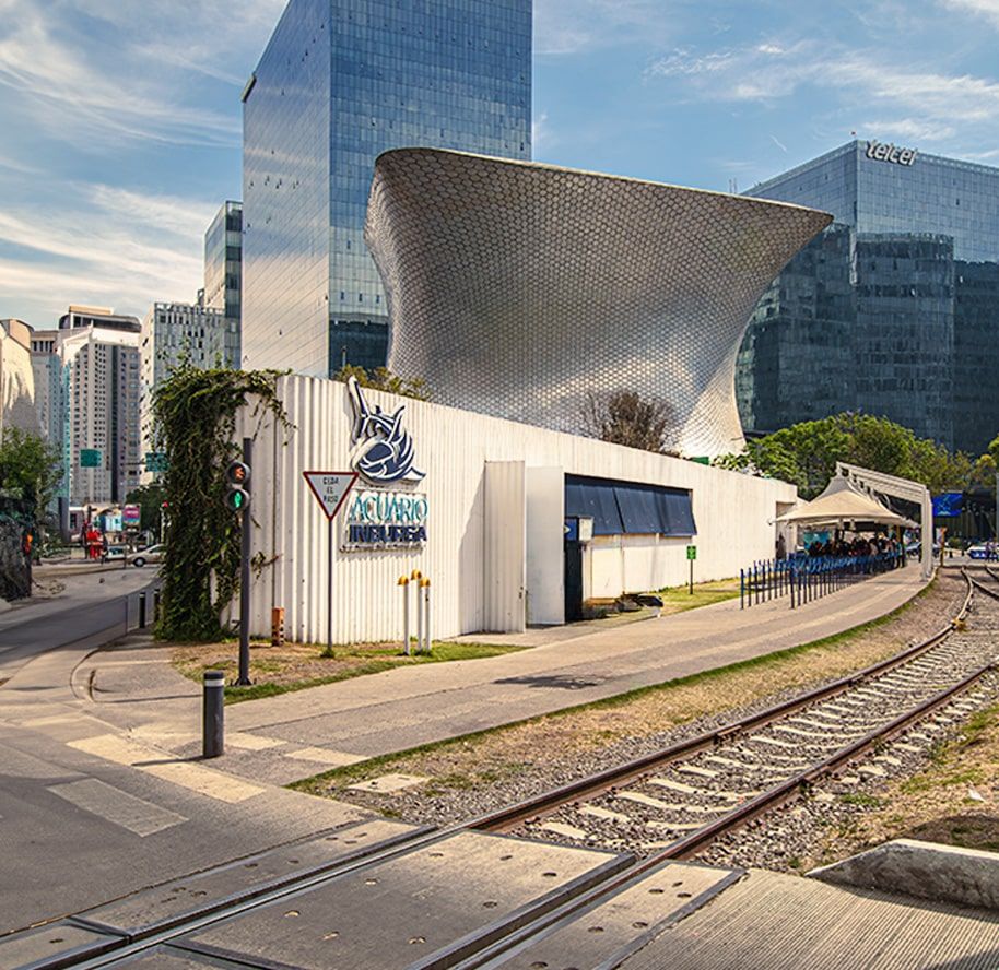 Qué hacer en Polanco, CDMX: Un día lleno de cultura, naturaleza y diversión