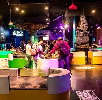 ¿Ya visitaste el Acuario Interactivo?