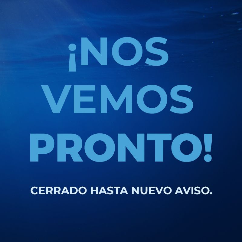 ¡Nos vemos pronto!