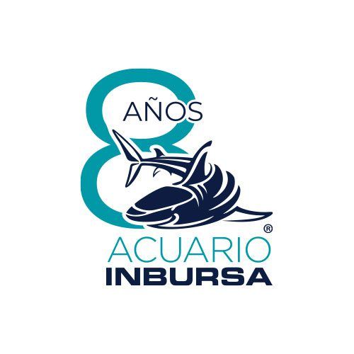 Mes de Aniversario