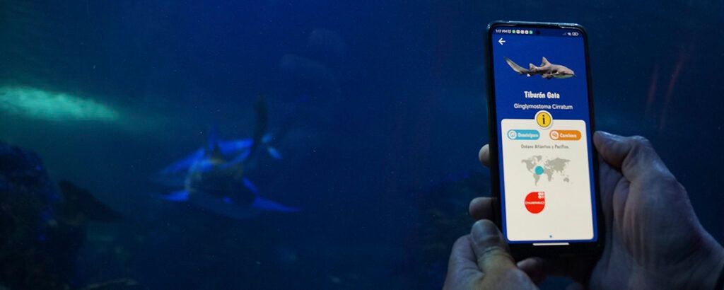 Una experiencia que transforma tu visita