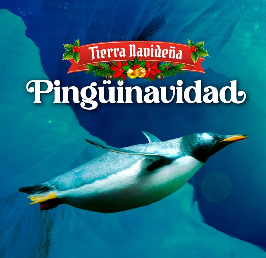 LA PINGÜINAVIDAD 2024 LLEGO A ACUARIO INBURSA