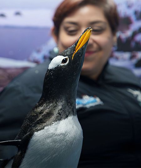 Acuario Inbursa 