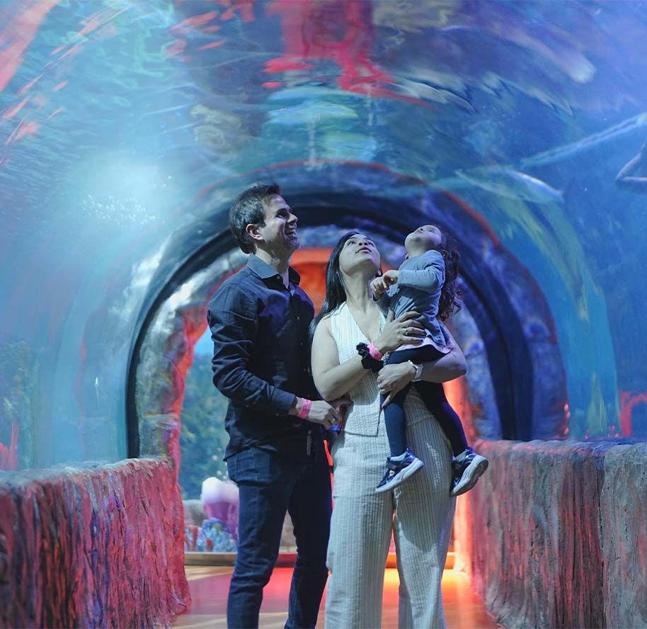 Qué Hacer en CDMX Este Verano: Visita Acuario Inbursa