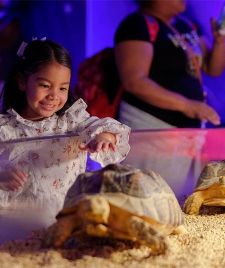 ¿Qué incluye tu visita al Acuario Inbursa?