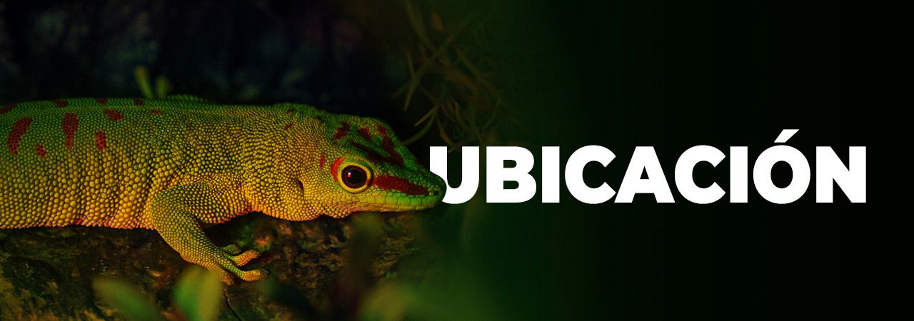 Acuario Inbursa