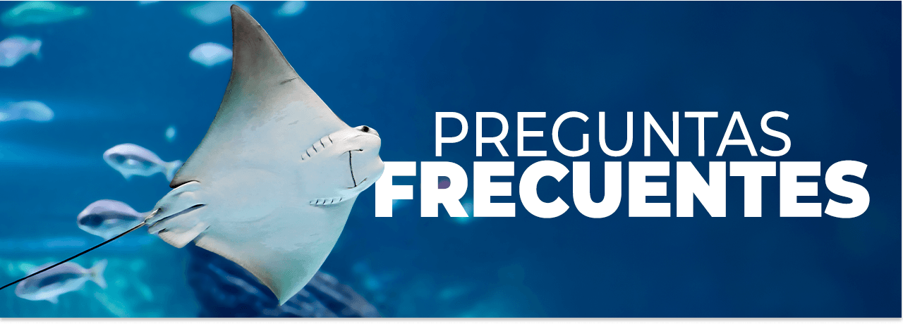 Acuario Inbursa