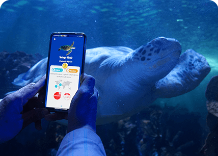 Experiencia Navegapp