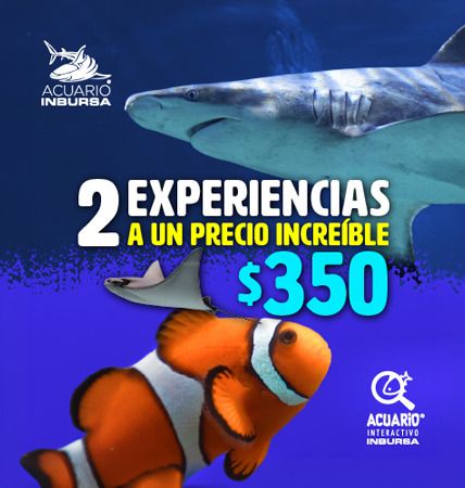 Acuario Inbursa